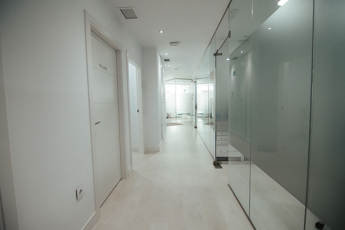 Pasillo interior con puertas y mamparas de cristal hacia los gabinetes